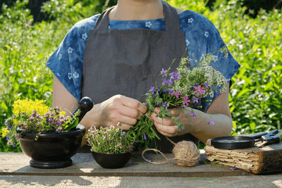 5 most powerful medicinal plants and herbs to improve your health