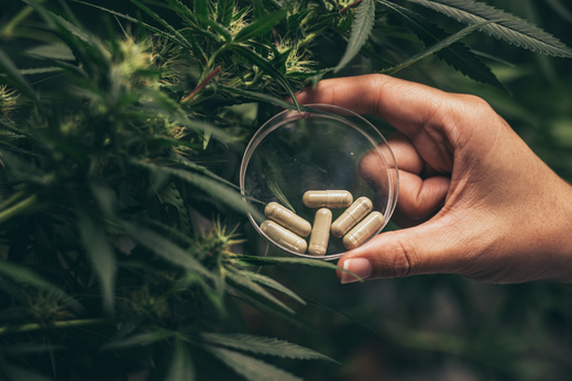 The Capsule Quality Question: Understanding Certificates of Analysis, Data Sheets, and Religious Certifications - Capsuline