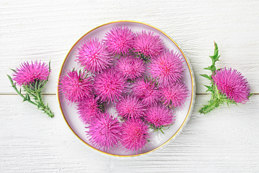 Benefits of Milk Thistle - Capsuline