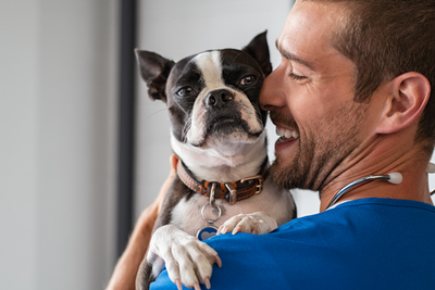 9 Tips to Helping Your Pets Medicate Easier