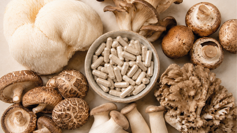 The Power of Mushrooms: Your Complete Guide to Mushroom Supplements and Their Benefits