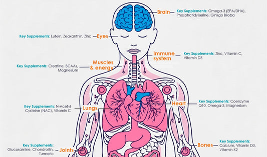 Longevity Supplements: The Best Nutrients for Every Part of Your Body