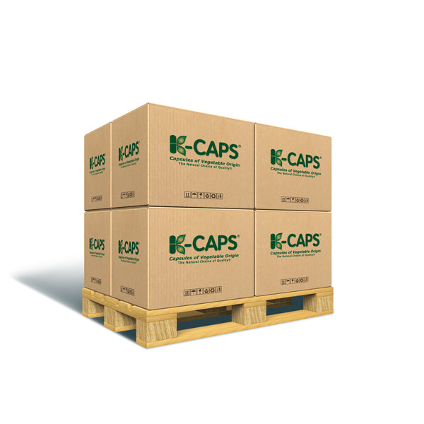 Colored Size 2 Empty Vegetarian Capsules by Capsuline - White/White (Box of 175,000) - White
