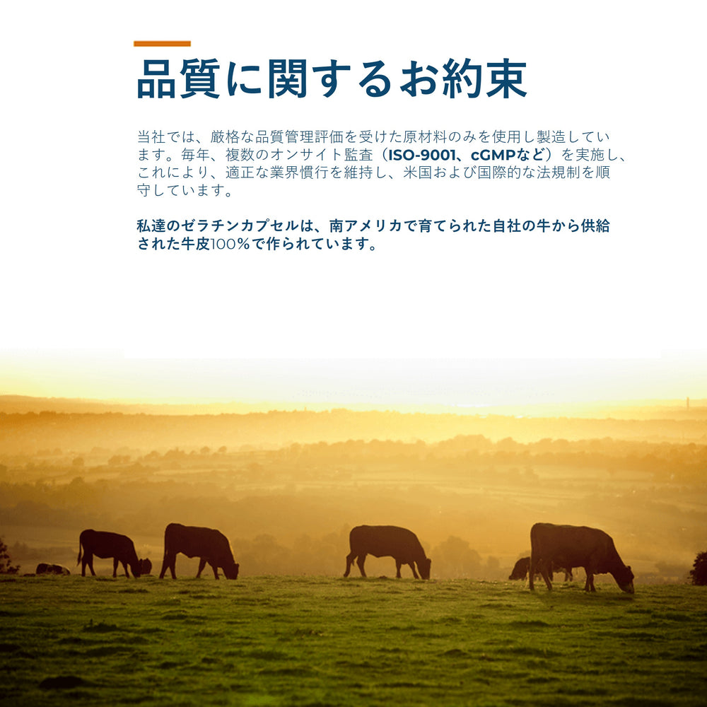 Clear Size 000 Empty Gelatin Capsules by Capsuline - 500 Count - 500