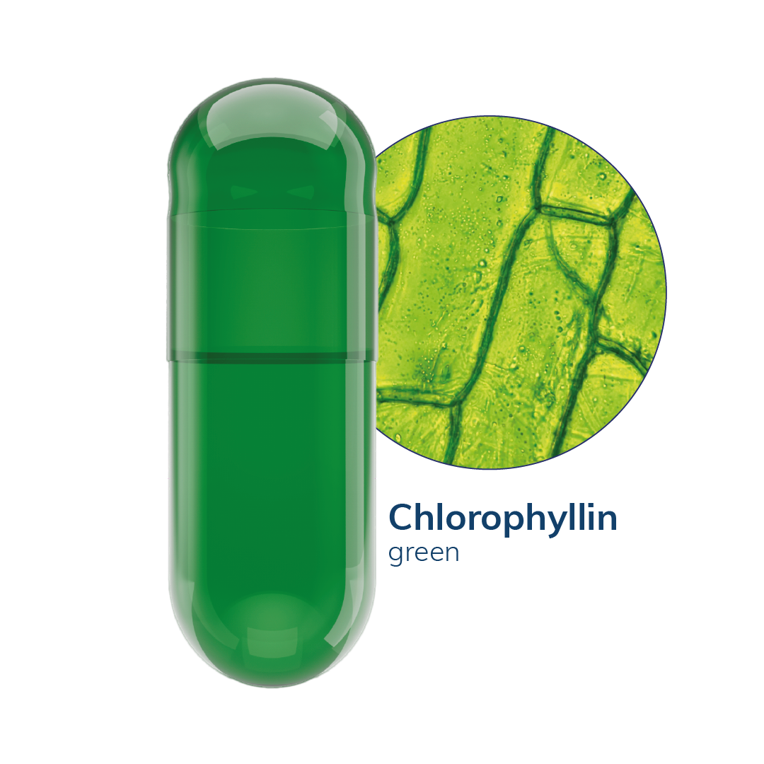 Capsuline Chlorophyll Empty Vegetarian Capsules Size 00  - Green/Green  - TiO2-Free (Box of 75,000)